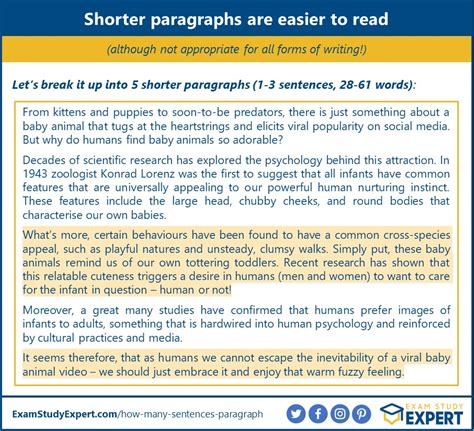 How Many Paragraphs in a 3 Page Essay: Unraveling the Mysteries of Academic Structure and Beyond