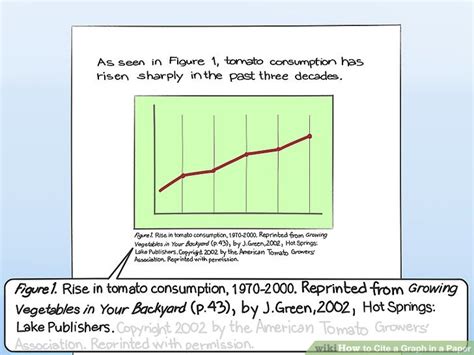 How to Cite a Graph in an Essay: A Journey Through the Maze of Academic Referencing